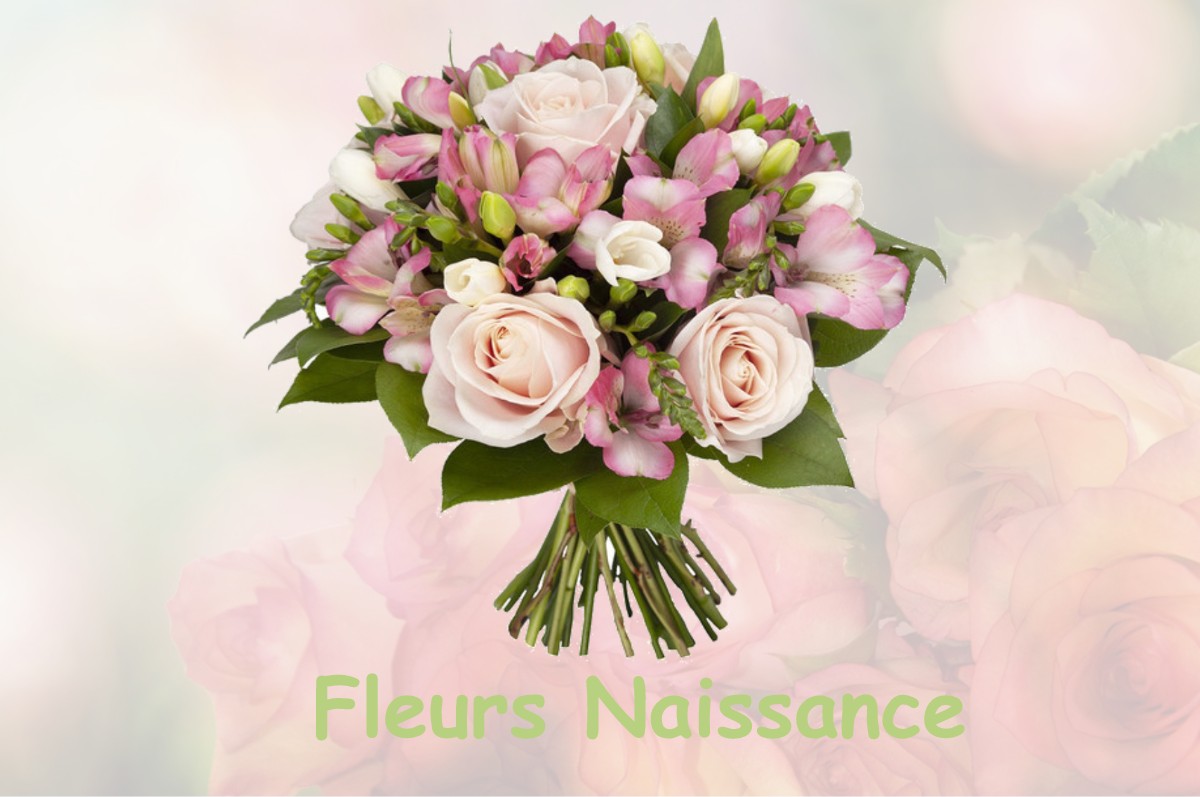 fleurs naissance SAINT-LAURENT-DE-CHAMOUSSET
